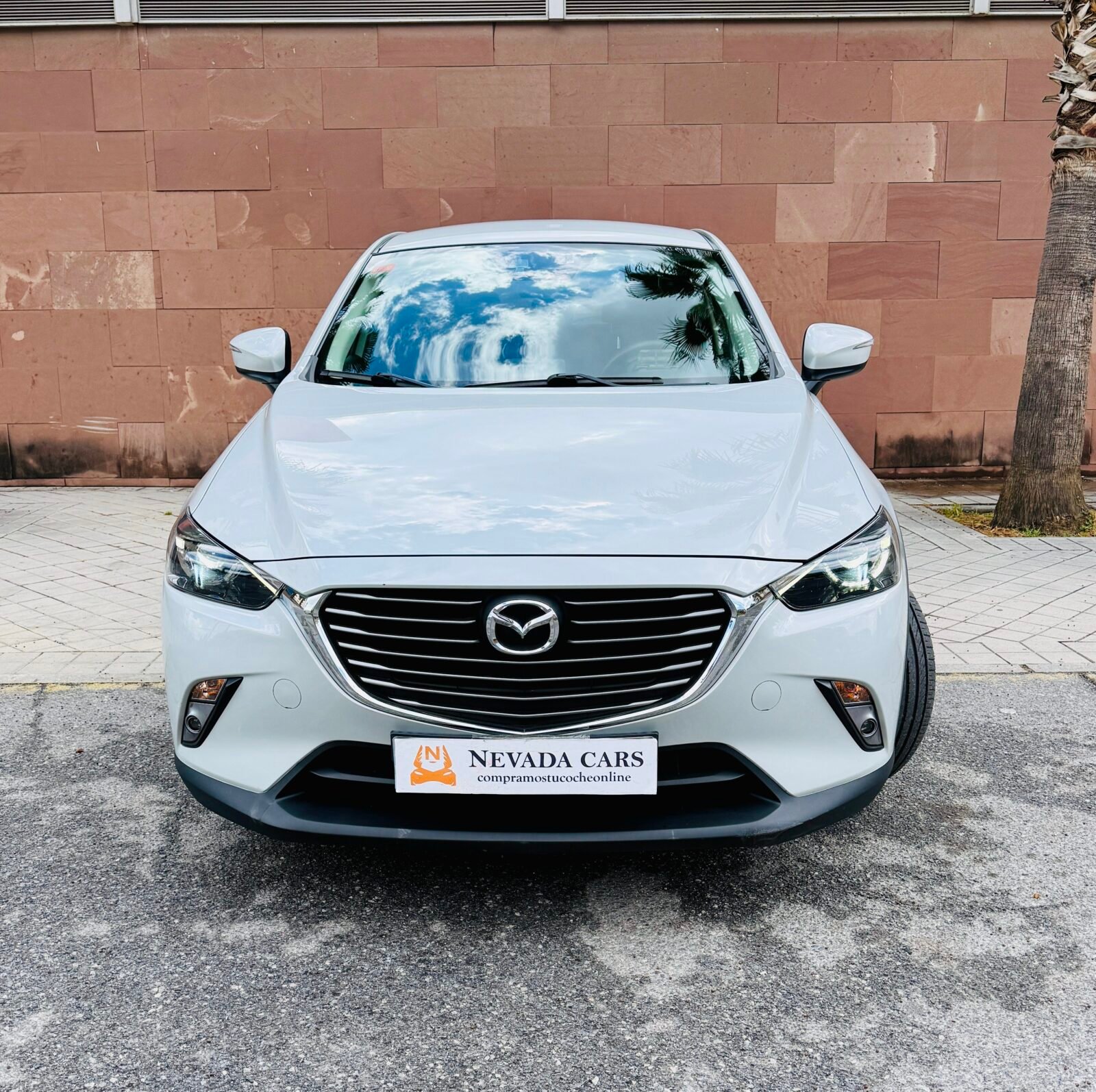MAZDA Cx-3 Skaytecnology luxury 
